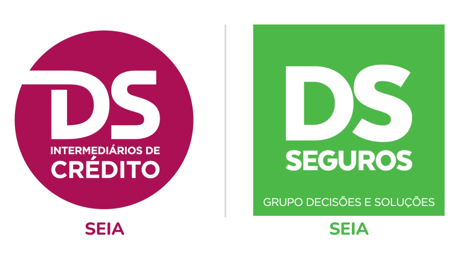 DS Seguros Seia